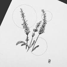 Lavender Lavender Tattoo White Tattoo Flower Line Drawings
