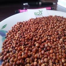تفسير حلم الهروب أو المطاردة ماهو تفسير هذا الحلم الاكثر شيوعاً بين الناس ؟ ÙˆØ±Ø§Ø¡ Ø£ÙŠÙ‡Ù…Ø§ Ø®Ø· Ø§Ù„Ù…ÙˆÙ‚Ø¹ Ø­Ø¨ÙˆØ¨ Ø§Ù„Ø°Ø±Ø© Ø§Ù„Ø­Ù…Ø±Ø§Ø¡ Reneelapalus Com