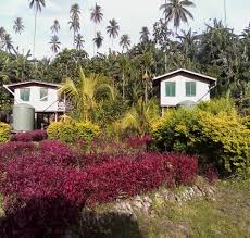 Résultat de recherche d'images pour "bougainville islanders"