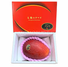Miyazaki mangos are no ordinary mangos. Taiyo No Tamago Kanjuku Mango Gift Box 650g Approx