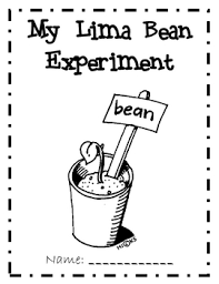 Coloring books for adults children amp teens barnes amp noble. Lima Bean Germination Experiment Use This Activity To Show Your Students How Lima Bean Seeds Germinate Lima Bean Growing Lima Beans Plants Science Experiments
