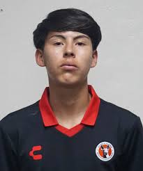 Liga MX Sub-14. Reporte Disciplinario: Cuartos de Final