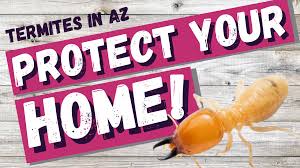 View all our creepy crawly pest control vacancies now with new jobs added daily! Termites In Arizona 10 Tips To Protect Your Home Wise Move Az