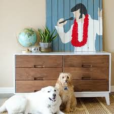 Latex paints need just one hour to dry and four hours before a second coat is applied. How Long Does Paint Take To Dry Cure Home Decorating Painting Advice