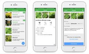 These article consist of 20 best gardening apps for android will make it easier for you. Best Apps For Gardening And Yard Work For Spring 2019 Cnet