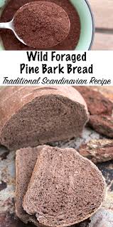 Pine Bark Bread Traditional Scandinavian Recipe Recipe Scandinavian Food Foraging Recipes Food
