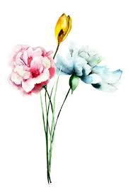 Pagine da colorare stampabili gratuitamente su tantissime tematiche,. 155 626 Foto Fiori Stilizzati Immagini E Vettoriali