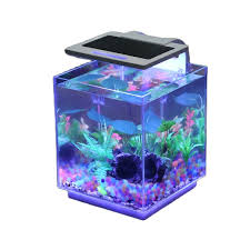 Tetra 55 gallon aquarium kit with fish tank, fish net, fish food, filter, heater and water conditioners. Sunsun Atk 250 21l Wholesale Acrylic Fake Fish Aquarium Buy Acrylic Aquarium Fish Aquarium Fake Fish Aquarium Product On Alibaba Com