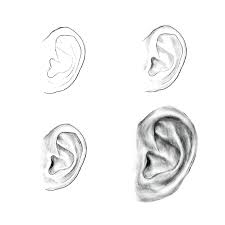 Learn How To Draw An Ear Art Education Drawing Skill Sketch Tutorial Art Draw Drawing Ear Education Learn Sk In 2020 Sketches Tutorial Ear Art Drawing Skills