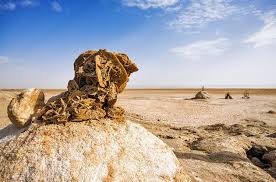 خريطة العاصمة التونسية ، تونس. Ø§Ù‡Ù… Ø§Ù„Ù…Ù†Ø§Ø·Ù‚ Ø§Ù„Ø³ÙŠØ§Ø­ÙŠØ© ÙÙŠ ØªÙˆÙ†Ø³ Ø§Ù„Ù…Ø±Ø³Ø§Ù„