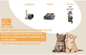 مستلزمات الحيوانات الأليفة كبيرة القط السجاد شجرة مع منازل قطط للبيع buy شجرة السجاد القط مستلزمات الحيوانات الأليفة كبيرة منازل القطط للبيع product on alibaba com