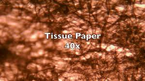 We did not find results for: Paper Under Microscope Fibres Seen Fascinating Youtube