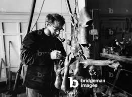 Bildergebnis für Roel D'Haese