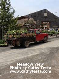 A Nursery In The Country Has A Big Draw Garden Nursery Country Southwick