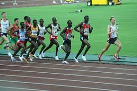 Convert 1500 meters to kilometers | convert 1500 m to km with our conversion calculator and conversion table. 5000 Meter Lauf Wikipedia