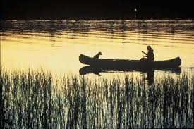 Can you recommend a platform or attachment that you have personal experience with. The Complete Guide To Canoeing And Kayaking With Dogs