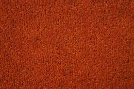 Shop with confidence on ebay! Turn On Burnt Orange Carpet Orange Carpet Cheap Carpet Quality Carpets