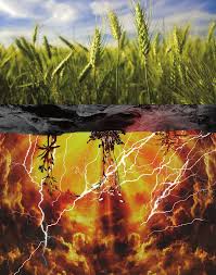 Cash deferral plan irks farmers