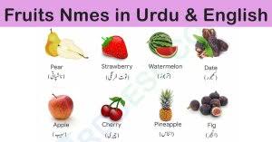 Kitchen equipment names and pictures pdf. List Of 70 Kitchen Utensils Names With Pictures