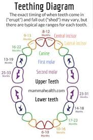 Teething And Your Baby Symptoms And Remedies Teething
