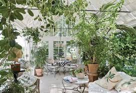 Experienced the south american bougainvillea needs to be grown in a heated conservatory border or large 30cm. A Guide To Choosing And Growing Plants In An Orangery