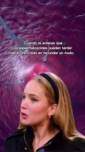 Tiempo de llegada de los espermatozoides a las trompas de Falopio