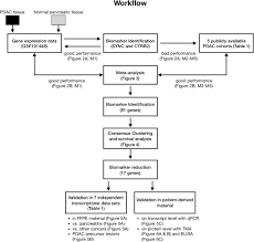 Frontiers Identification And Validation Of A Diagnostic