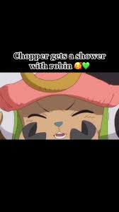 Chopper and Robin Bath Time Adventures