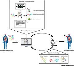 Maybe you would like to learn more about one of these? The Importance Of Computational Modeling In Stem Cell Research Trends In Biotechnology