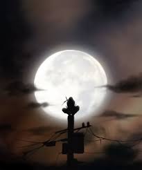 Los temas para seleccionar las imágenes para fondos de pantalla son muy extensos, por eso la escogencia va con el estilo de cada persona. Itachi Itachi Uchiha Art Samurai Anime Anime Naruto