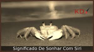 Sonhar com siri: descubra os segredos por trás das visões de caranguejos!