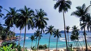 Los mejores vídeos y toda la información sobre el príncipe. Sao Tome Und Principe Urlaub Jetzt Gunstig Buchen Bei Holidaycheck