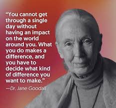 Remembering Jane Goodall's contributions to primatology and conservation