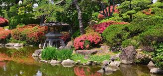 Aus kleinen wasserbecken, kunstvoll beschnittenen kiefern und bemoosten steinen entsteht ein harmonisches. Der Japanische Garten Zuhause Bei Sam