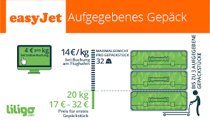 ~ die personen in den urlaub mit einem kleinen koffer gehen. Gepack Bei Easyjet Preise Gewicht Dimensionen Reisemagazin Liligo Com
