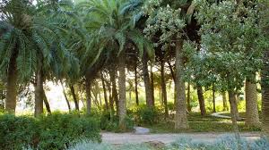 a windy stroll in santo amaro de oeiras the garden in shade garden santo amaro shades