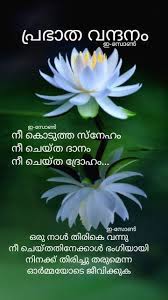 Pin By Eron On Good Morning Malayalam Beautiful Good Night Images Good Morning Quotes Good Morning Wishes