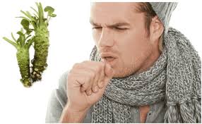 Descubre el Poder del Wasabi: Guía Esencial 2025