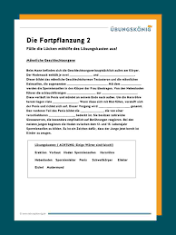 Mannliche Geschlechtsorgane