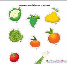 Okul Oncesi Ilkbahar Meyve Sebzeleri Ile Ilgili Gorsel Sonucu Meyve Sonbahar Sanat