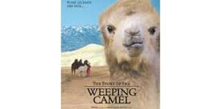 How herders help a rejected camel calf. The Story Of The Weeping Camel Movie Review For Parents