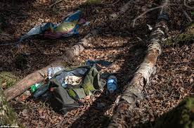 Haunting Images From Inside Japan S Suicide Forest Daily Mail Online