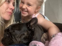 Fundraiser by Rebecca Ashby : Little Beas eyes