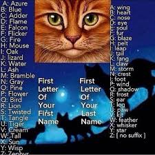 Can Cats Get Colds Product Id 6059059446 Servalcats Warrior Cats Name Generator Warrior Cats Warrior Cat Names