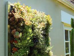 Crafted of durable, outdoor safe stone. 5 Simple Ways To Create A Diy Living Wall Vertical Garden Modern Planters Outdoor Garden Living