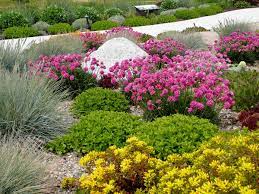 Garden Design Okanagan Xeriscape Association