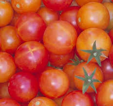 We did not find results for: Tomato Growers Gift Certificate Tomato Growers Supply Company