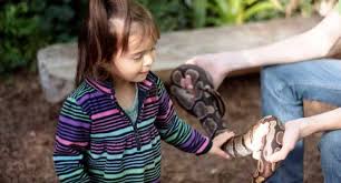(most are a 2 hour mininum) free quotes from south. These Farms Petting Zoos In Upstate Sc Are Adorable