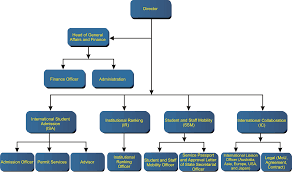 organization structure international office