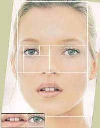 15 Uncanny Examples Of The Golden Ratio In Nature Golden Ratio In Nature Golden Ratio Fibonacci Golden Ratio
